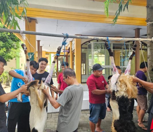 Sambut Iduladha 1447 H di Tengah Pekan PSAT, SMAN 1 Pare Gelar Penyembelihan Hewan Qurban dengan Khidmat